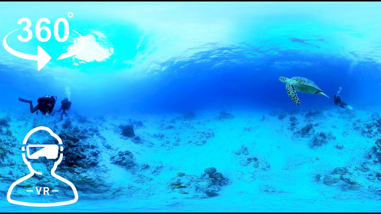 【VR】Great Barrier Reef 360 VR Video
