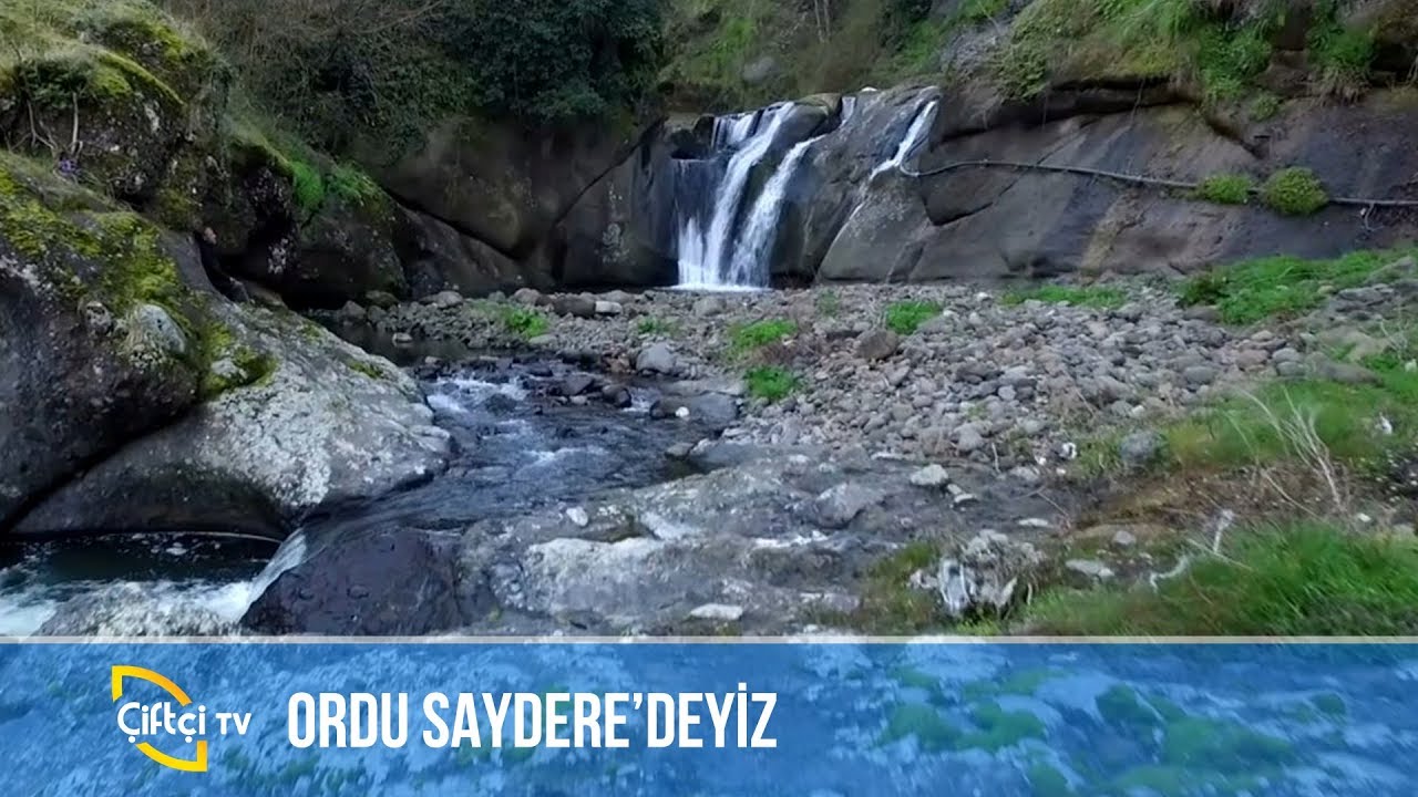 Ordu Gezisi -BİZİM KÖY