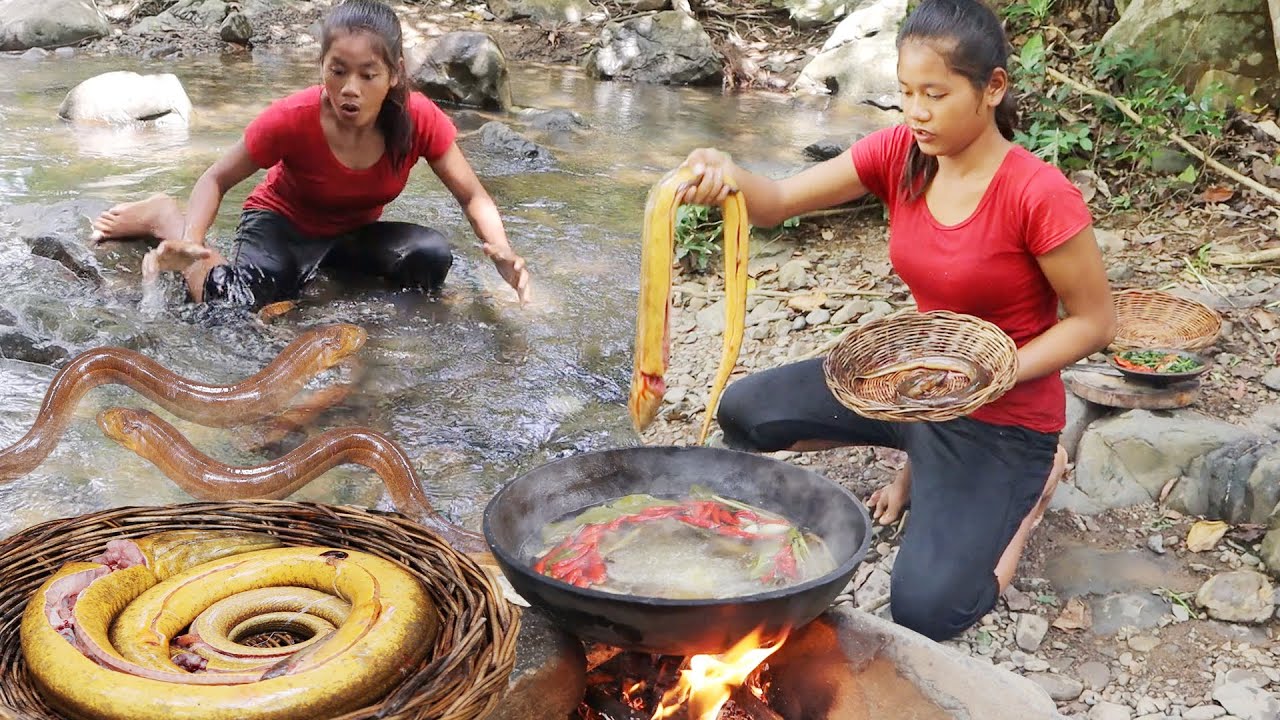 Survival cooking in forest: Catch big eel in waterfall & Big eel soup spicy delicious for lunch