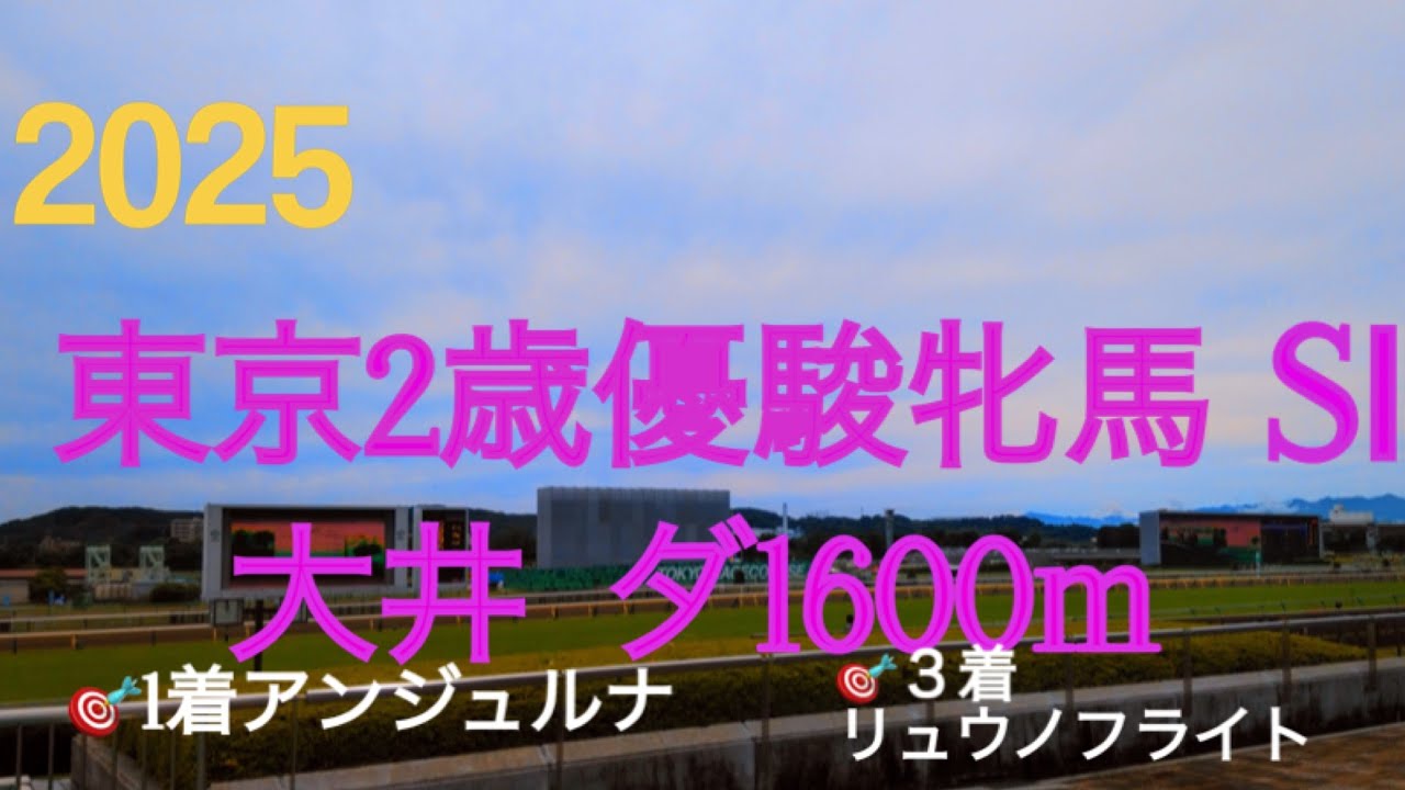 【東京2歳優駿牝馬  2025】🎯1着アンジュルナ🎯3着リュウノフライト2025年大晦日決戦‼︎南関東2歳女王決定戦に14頭‼︎2026年南関東3歳牝馬の中心となる馬は⁉︎