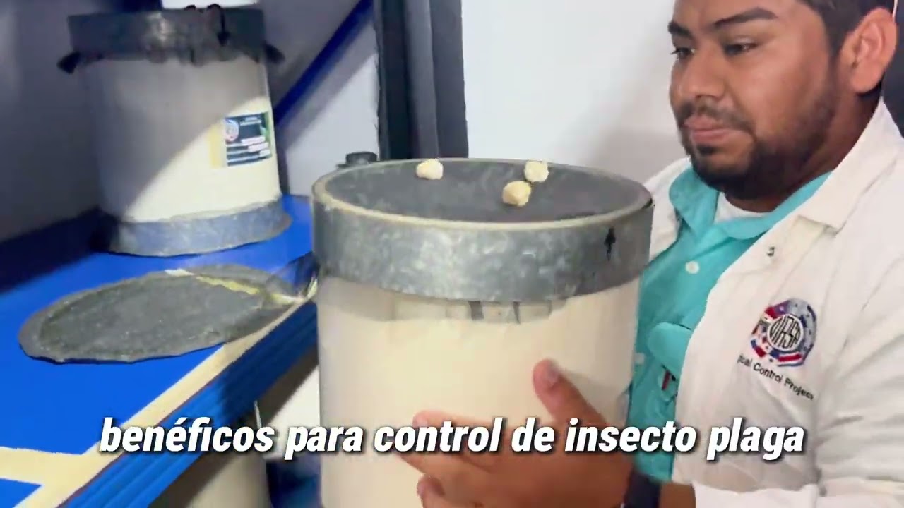 Proyecto de Control Biológico en Belize