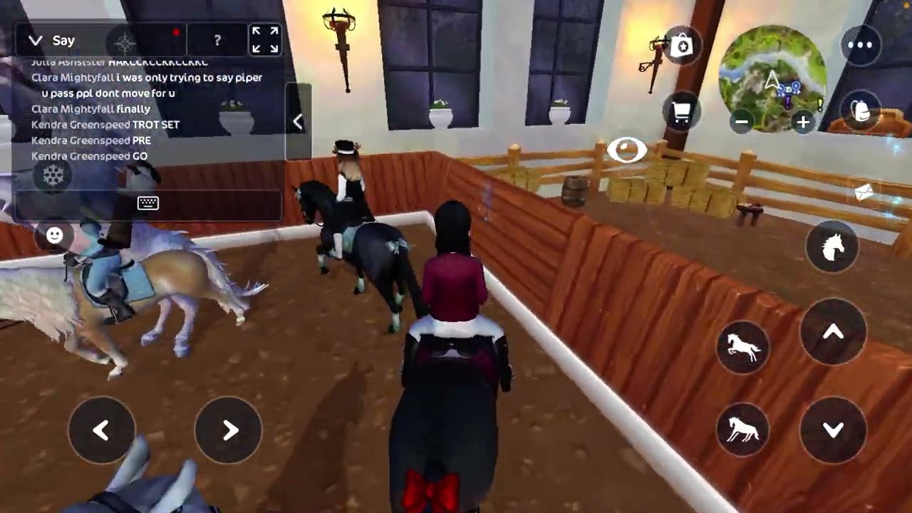 Come do a dressage lesson with me!