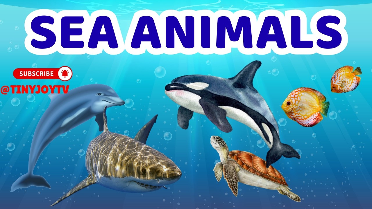 SEA ANIMAL FOR KIDS🐟| BABY SEA ANIMALS,COLORS AND FUN GAMES