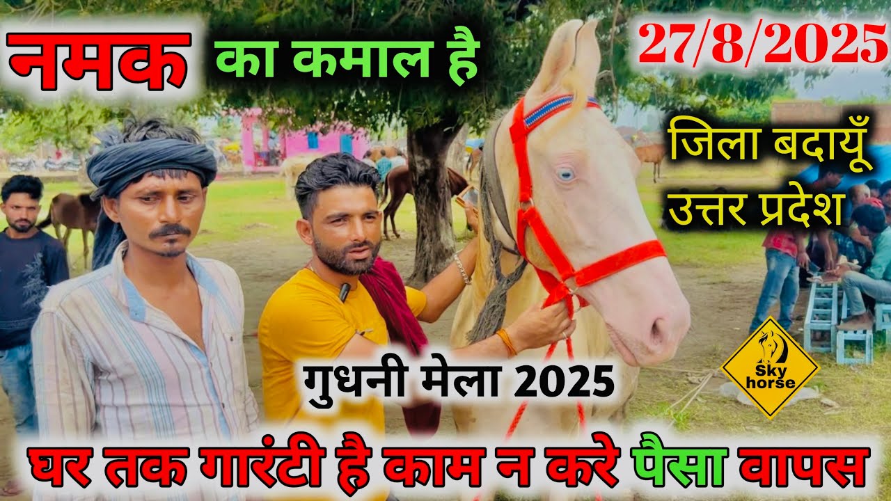 घोड़ा व्यापारी ने कहा हम नमक खाते हैं मुर्गा नहीं | #Gudnimela2025