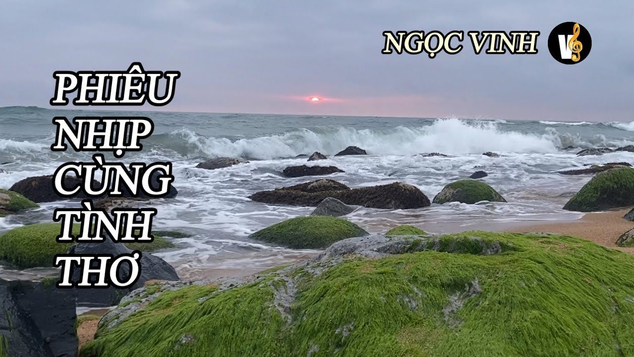 TÌNH BIỂN Pop EDM | Nhạc Thơ Trữ Tình Hiện Đại | Biển Rêu Xanh Xóm Rớ Bình Minh