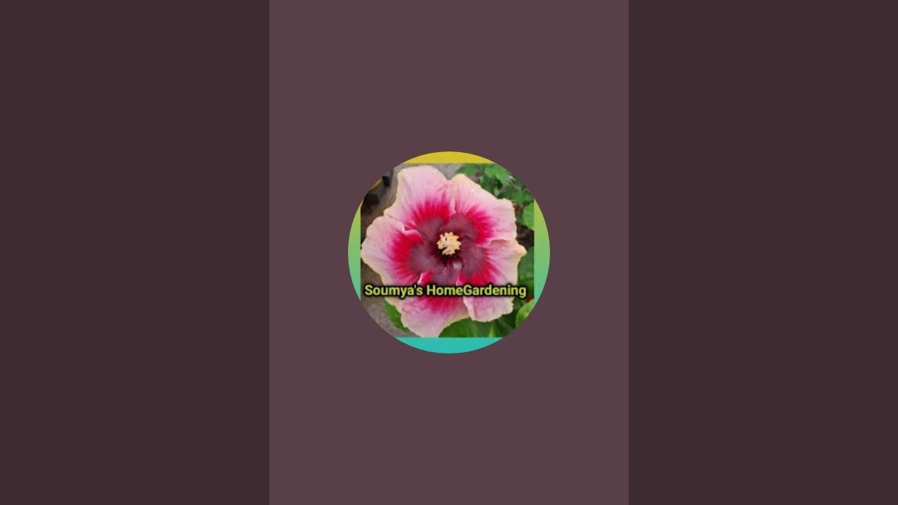 Soumya's HomeGardening 🪴  is live