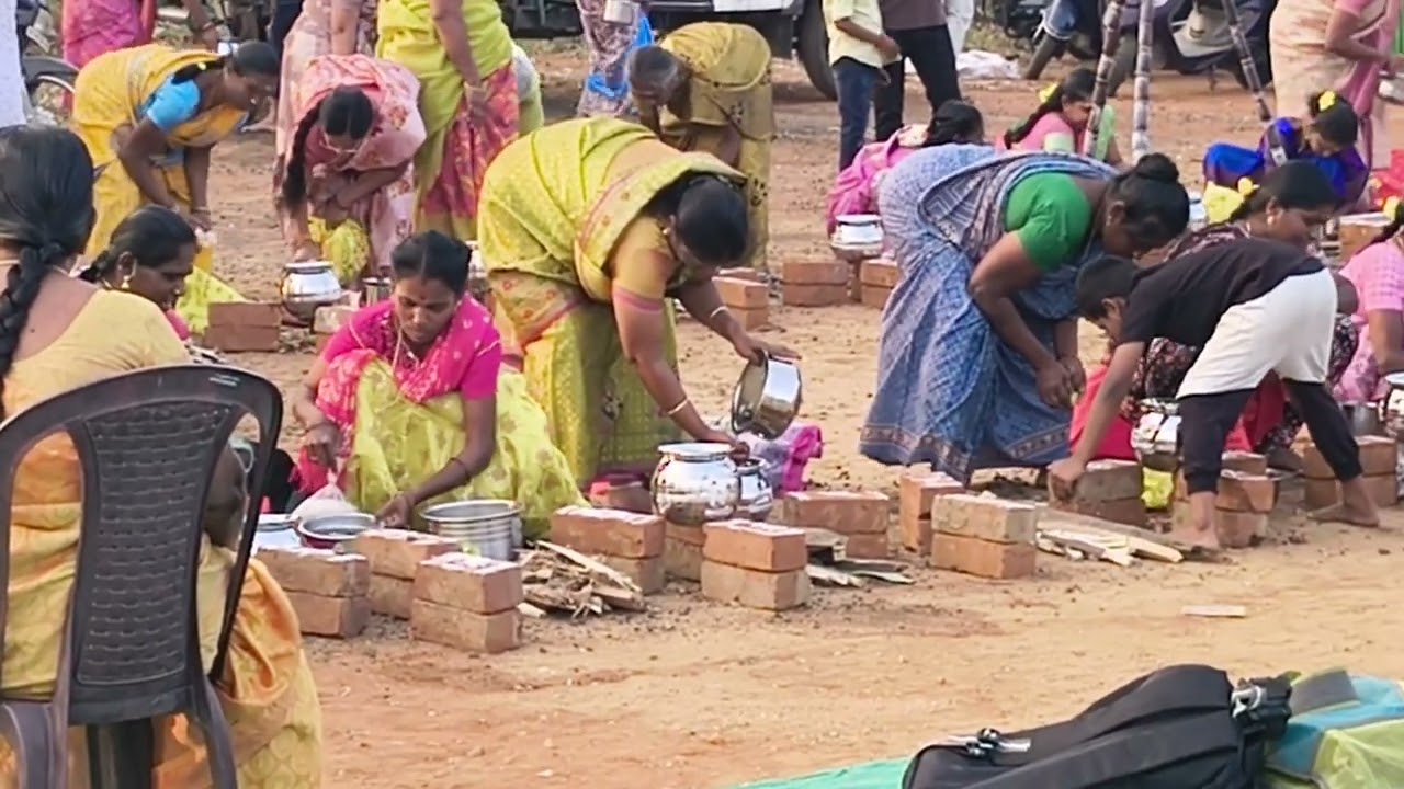 South India special Pongal festival तमिलनाडु में स्पेशल पोंगल मनाया जा रहा है तैयारी जोर शोर पर है 👍
