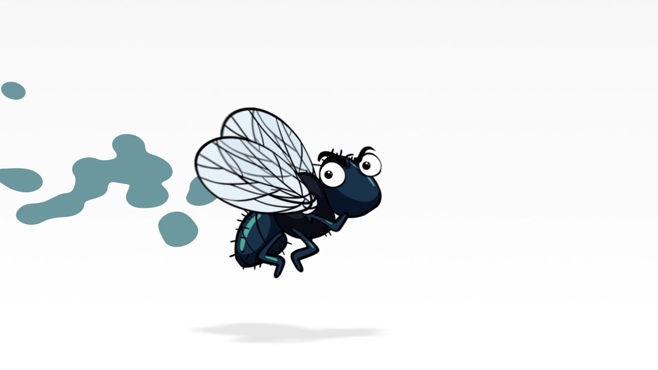 NAJLEPSZA NA ŚWIECIE PUŁAPKA NA MUCHY - ONE SHOT FLY CATCHER