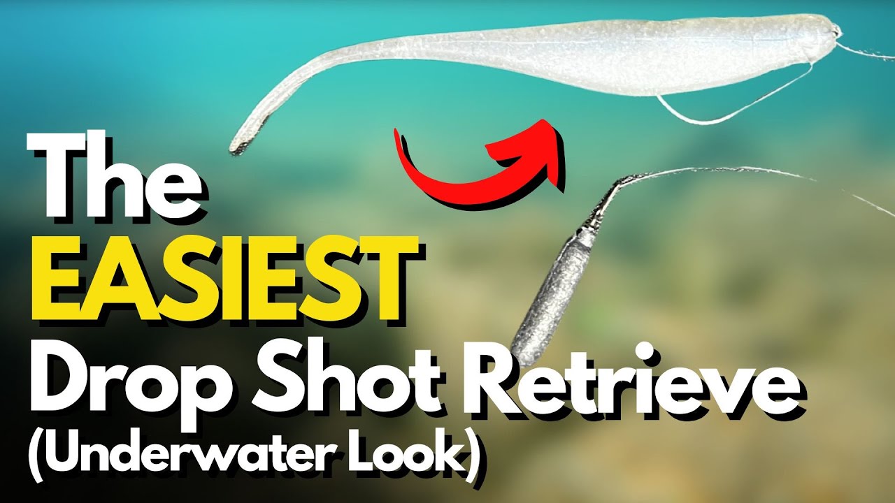 The MOST Effective Retrieve for a Drop Shot Rig (Underwater Look)