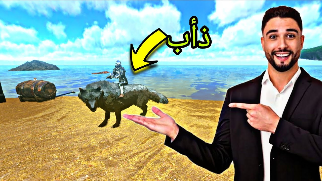 أرك : ترويض ذيب