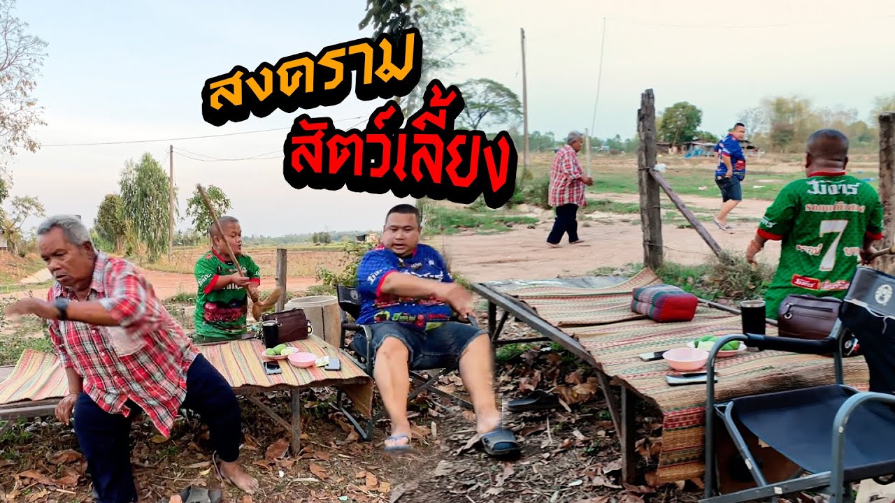 สงครามสัตว์เลี้ยง พ่อกับลูกไม่ลงรอยกันใส่กันยับ‼️