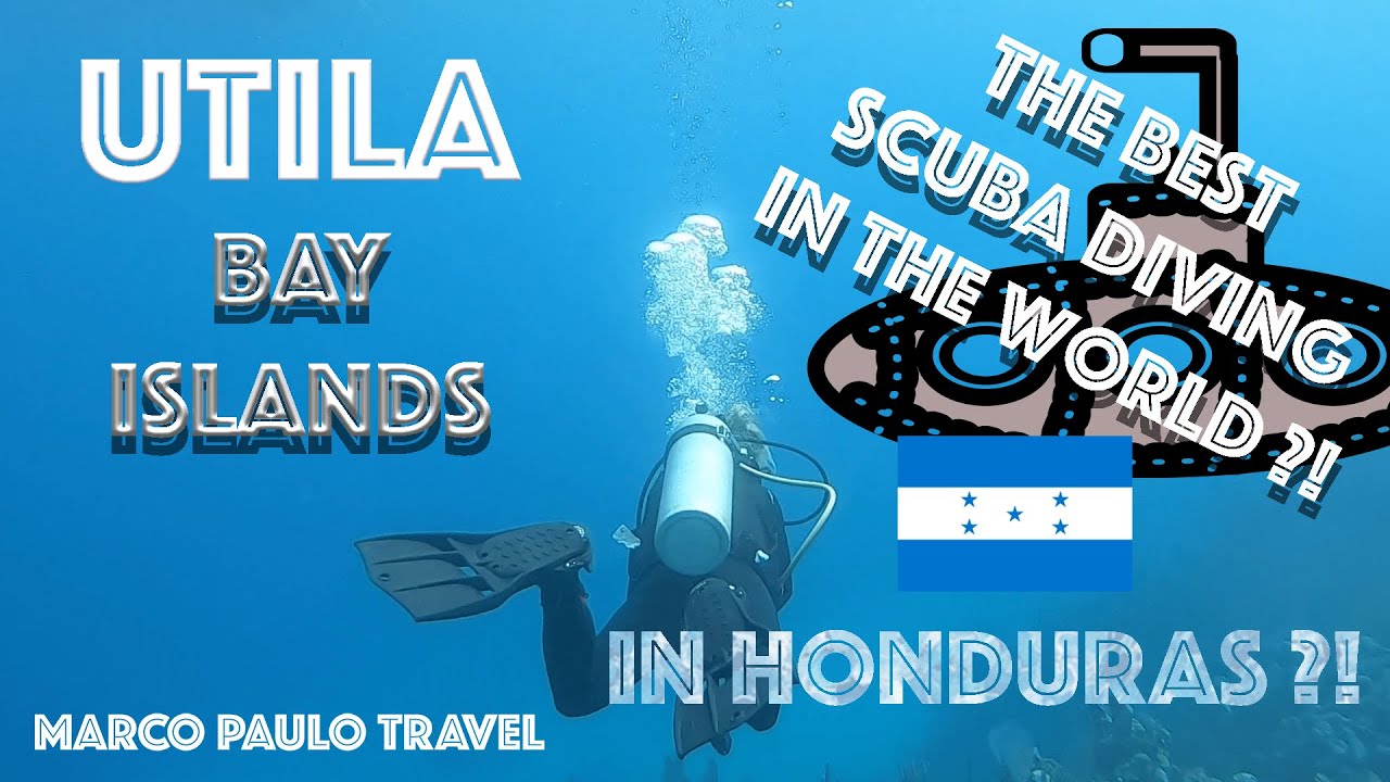 Scuba Diving Utila Honduras | Best Scuba in the World ?!