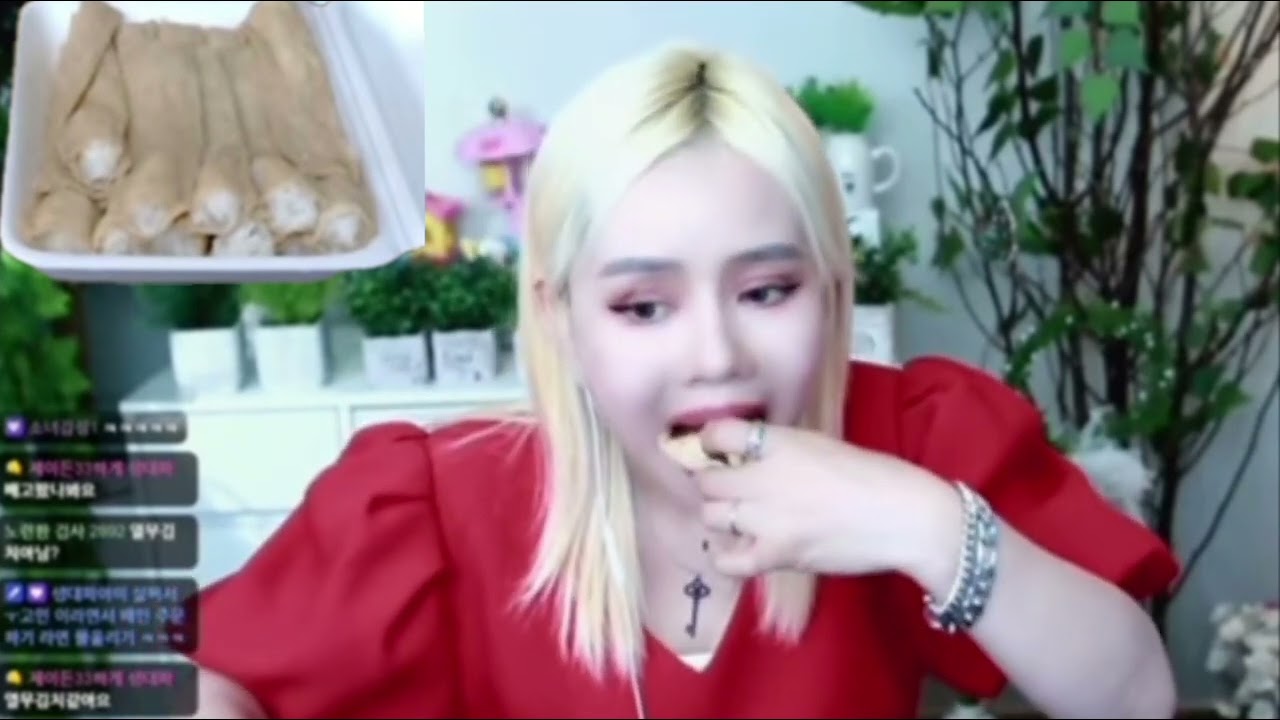 1일1식(feat.인조고기) #손봄향#연변#조선족#상간녀#소송후원#먹튀#법원벌금#빨간줄#범죄자#악인전