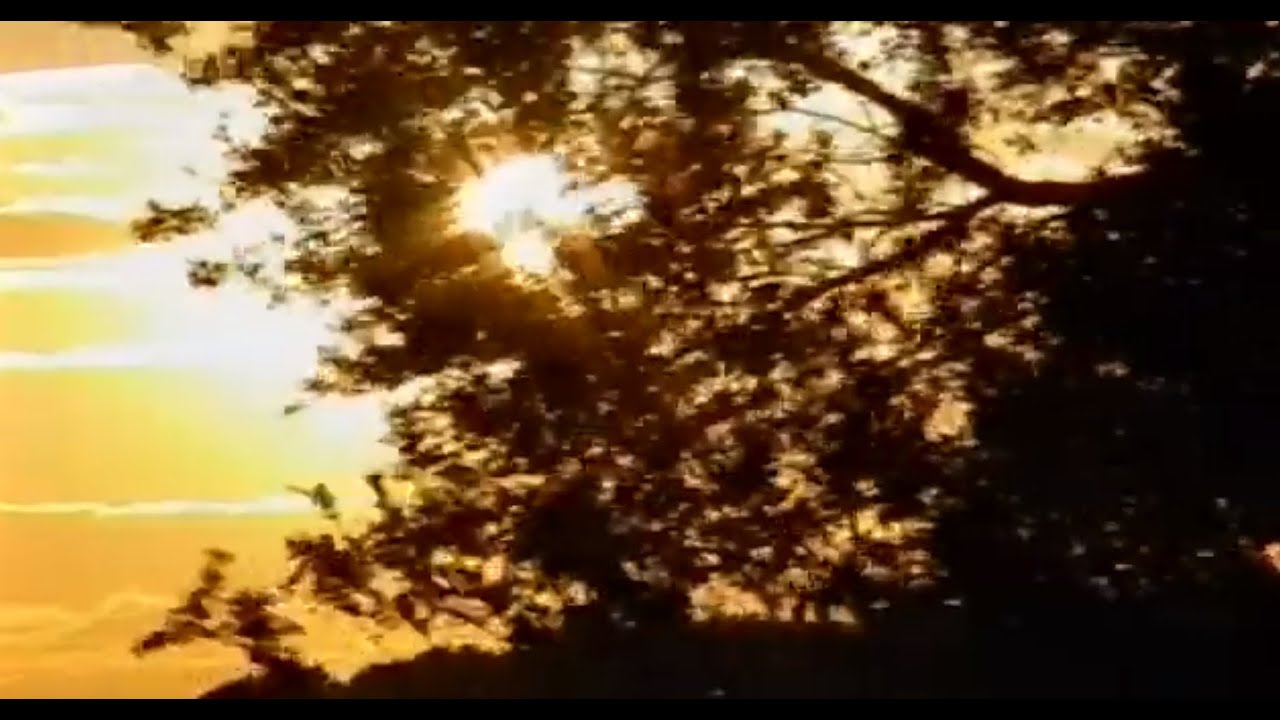 14 07 07  Северинівка. Івана Купала