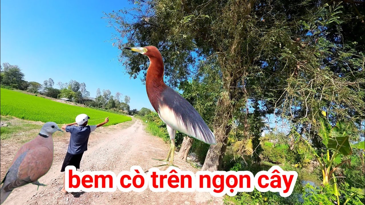 NVN vlog _ đi săn những ngày cận Tết 2026