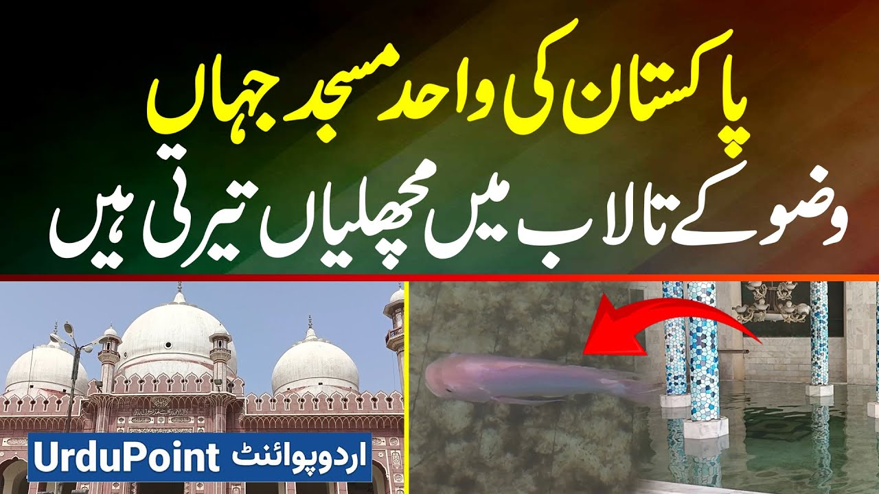 Pakistan Ki Molvi Sardar Masjid Jaha Wazu Ke Talab Me Machhliyan Bhi Terti Hain
