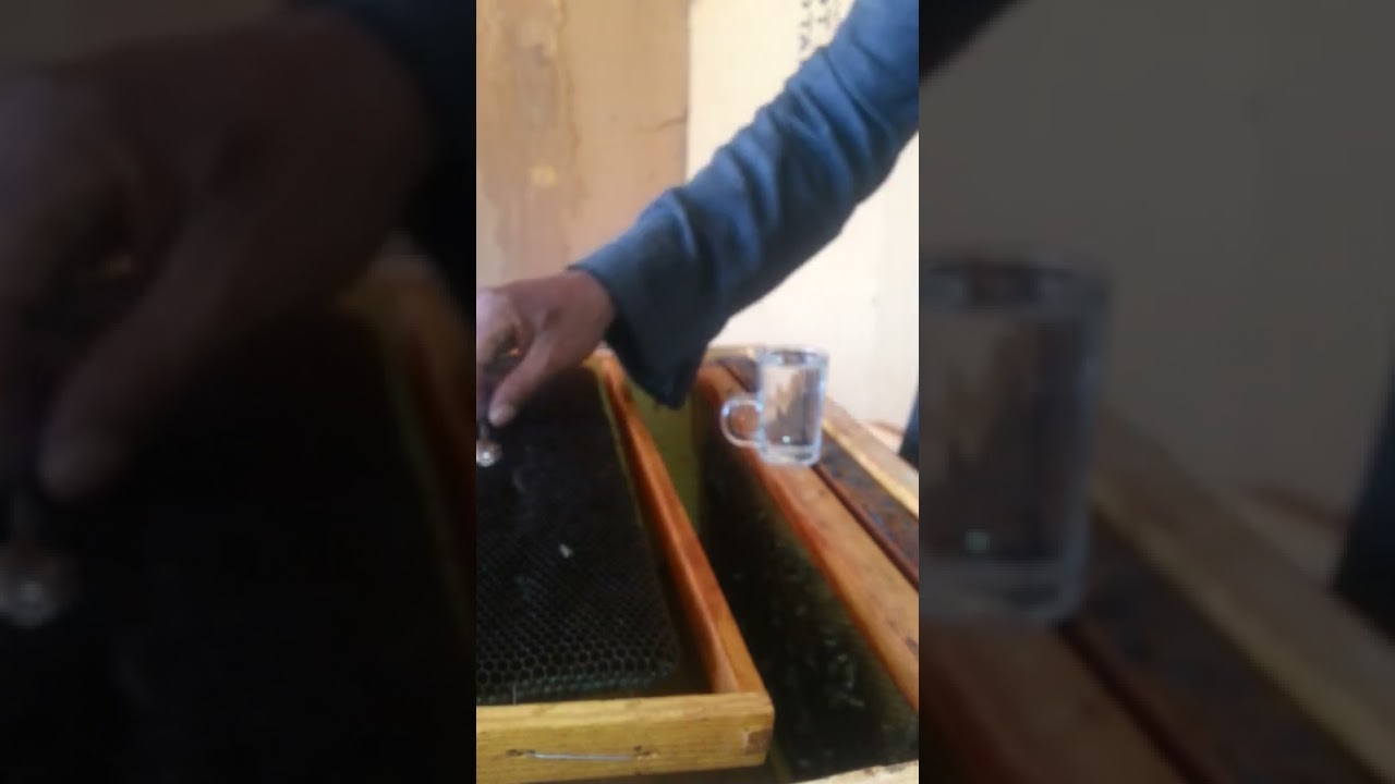 التغذية في النظام