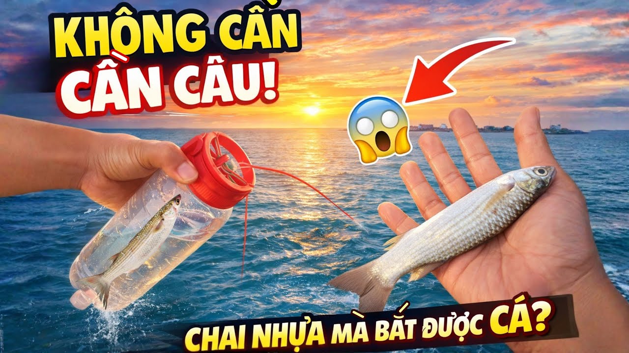 🎣 Câu Cá Đối Bằng Chai Nhựa – Đơn Giản Mà Bắt Cá Cực Đỉnh! ❤️