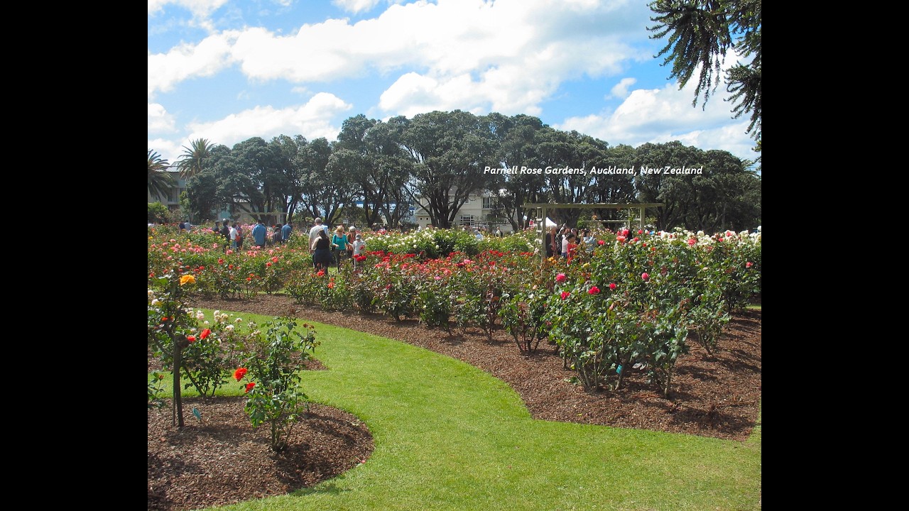 Parnell Rose Gardens - Auckland, New Zealand - 4K 60 FPS