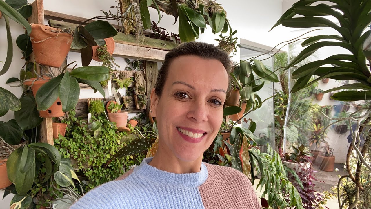 Como  fazer as orquídeas Phalaenopsis ter um montão de haste floral?