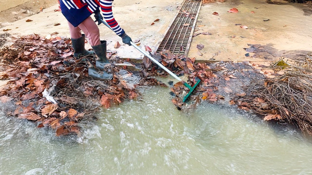 Shockingly Fast Drainage After Clearing a Massive Culvert