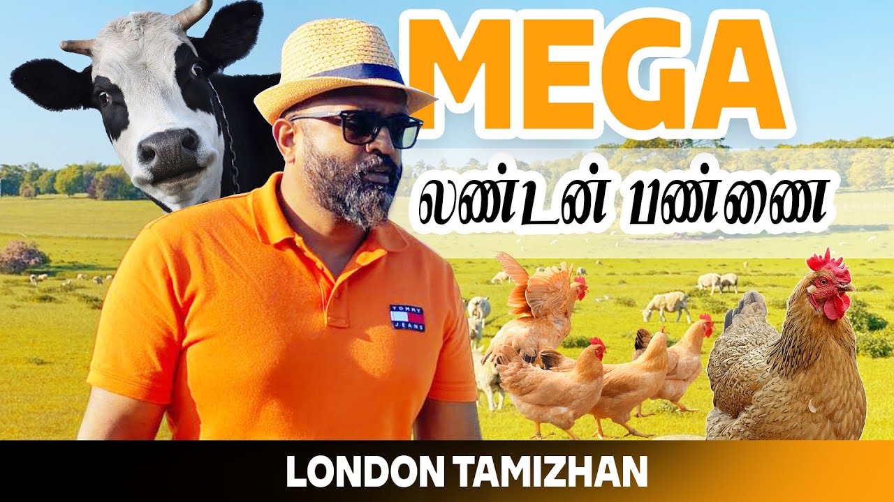 லண்டன் ஆடு கோழி மாடு பண்ணை சுற்றுலா | UK London Farming Land Tour | How to do Farming in Tamil Vlog
