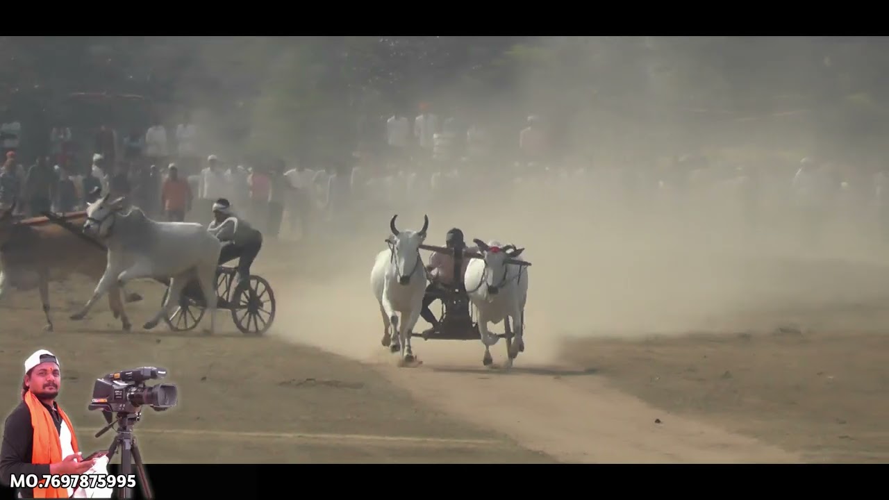 मलारा पट पहला दिन 😎 पहला कपल All Video 👇 Pat Pratiyogita 🙋 Race Of Ox 👫 Barghati Bhaiya Pat