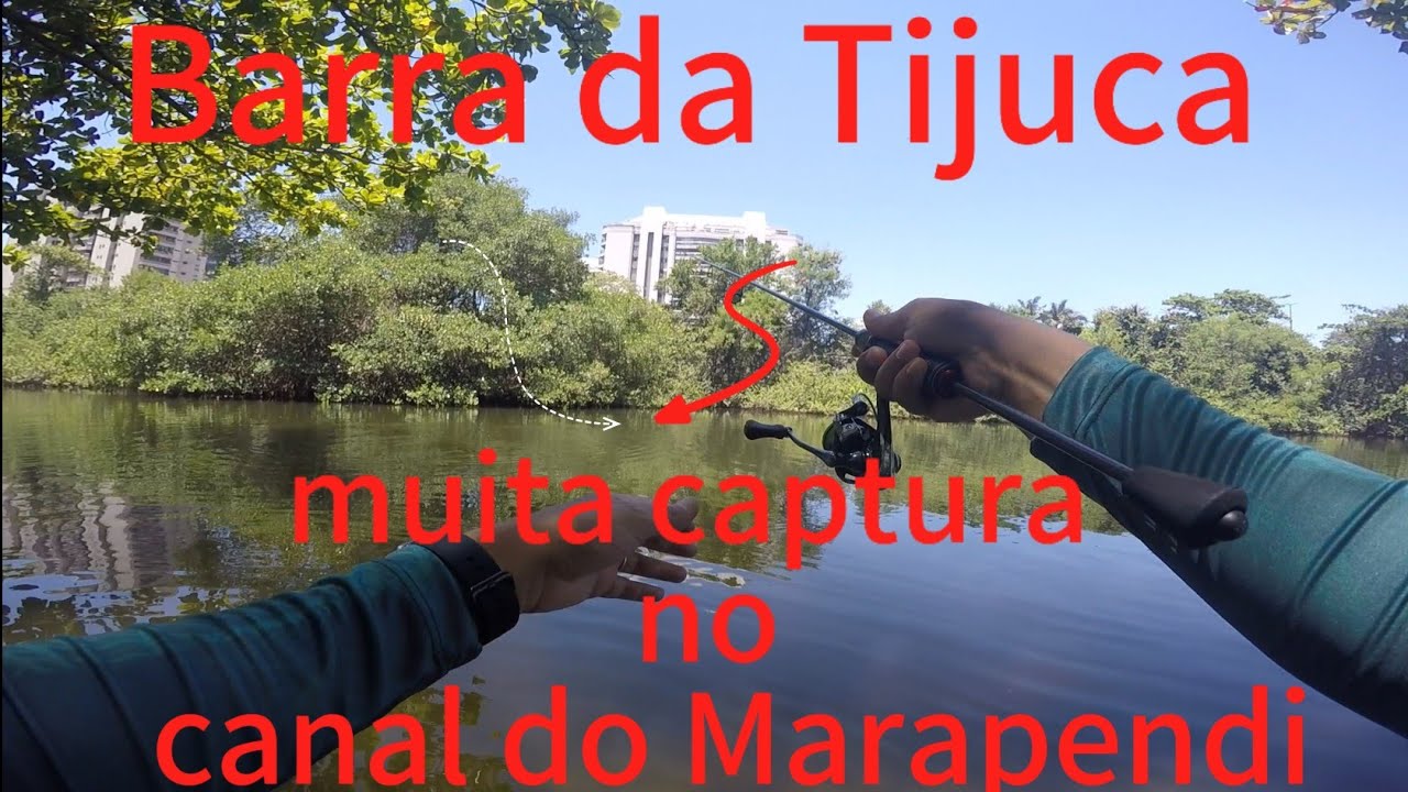 Pesca ultralight urbana na Barra da Tijuca,Rio de Janeiro.canal do Marapendi. Com muitas capturas.🎣🐟