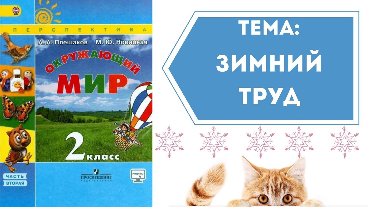 Окружающий мир 2 класс. ТЕМА 
