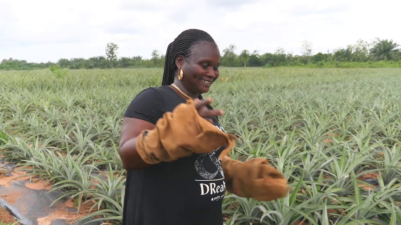 #JnA2019 Agricultrice Modèle dans la filière ananas
