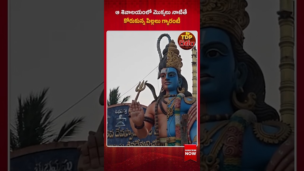 ఆ శివాలయంలో మొక్కలు నాటితే కోరుకున్న పిల్లలు గ్యారంటీ. #Shiva Temple miracle #Bhimavaram temple