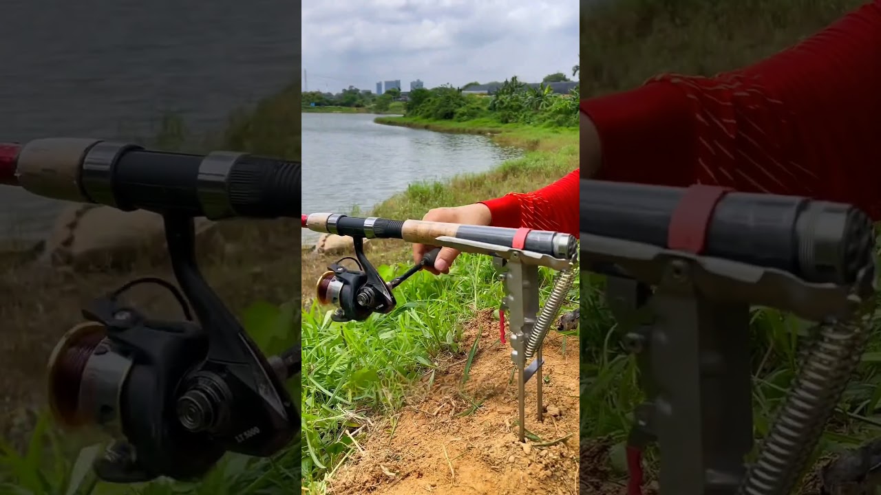Automatic fishing rod rack fishing gear and tools #fishing #fishinggear #fishingaccessories #fish