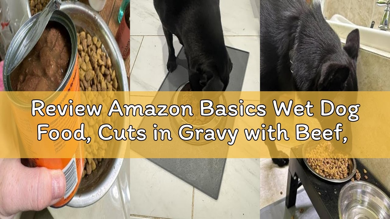 Review Amazon Basics Wet Dog Food, Cuts in Gravy with Beef, Made with Real Beef and Chicken, 13.2 oz