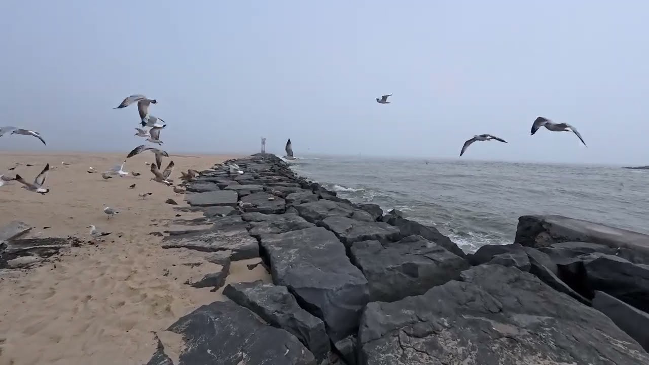 Ocean City Maryland Inlet March 2026