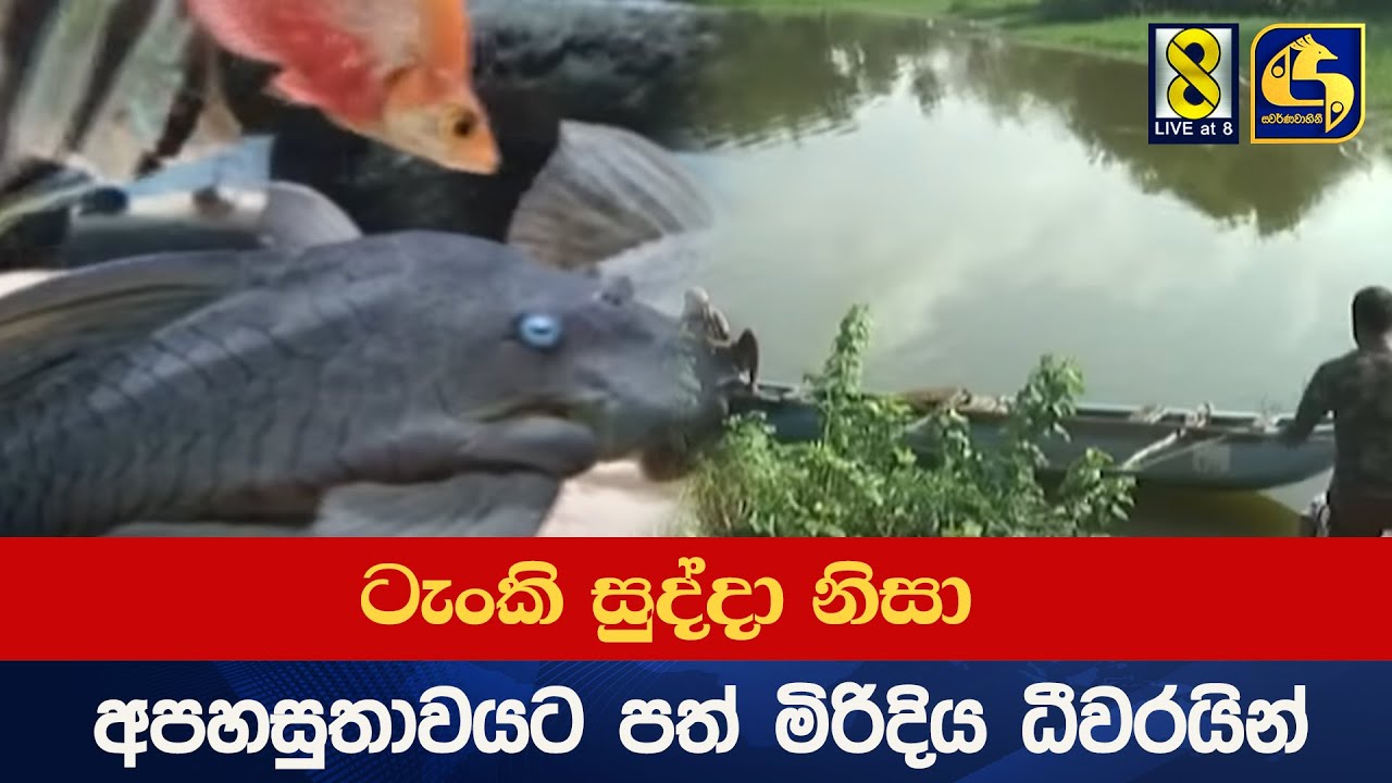 ටැංකි සුද්දා නිසා අපහසුතාවයට පත් මිරිදිය ධීවරයින්