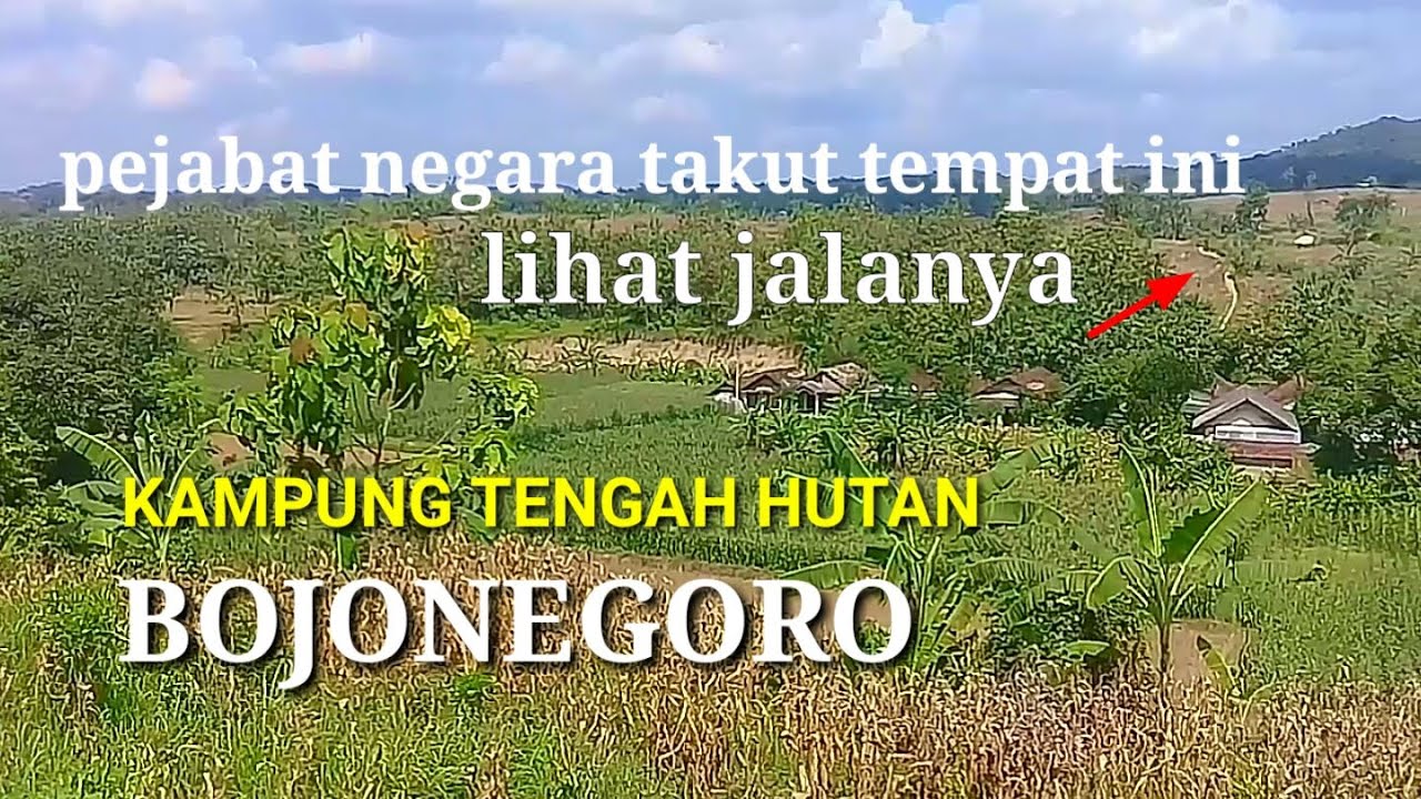 Inilah Kampung Pedalaman Bojonegoro Menyimpan Seribu Jawaban Warga Perkotaan