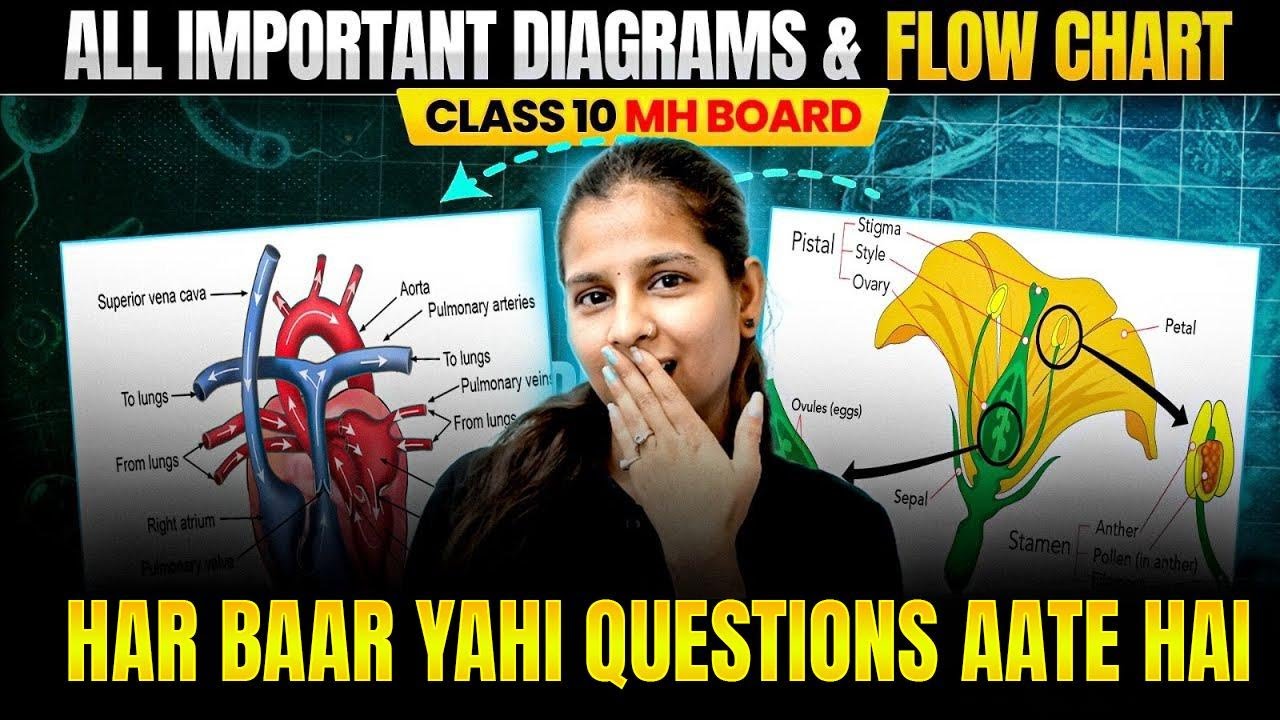 All Important Diagrams and PYQs Class 10 Science 2 SSC Maharashtra Board | By Pranita Ma'am