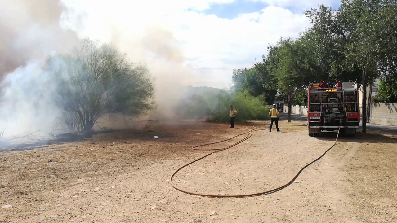 Incendi de vegetaci&oacute; a La Canonja, al Tarragon&egrave;s