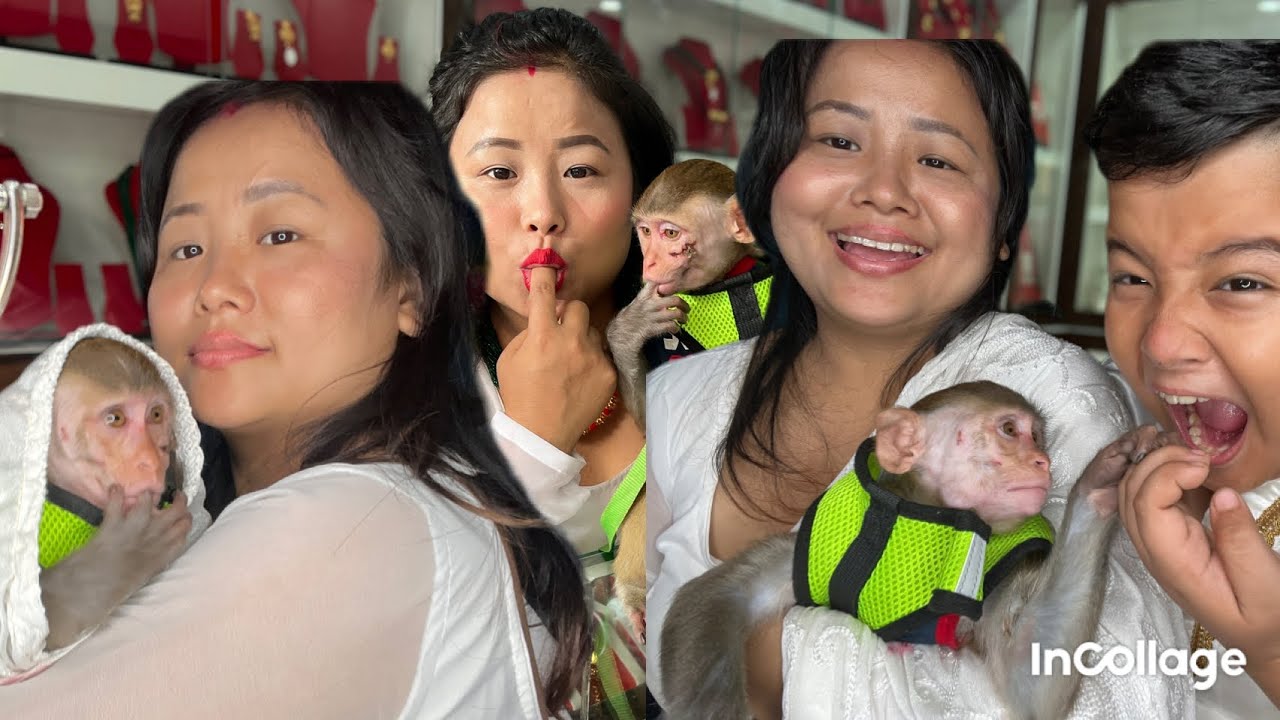 Jogu lai buni saga pathai diye🐒// risaudai gayo bichara🐒😁