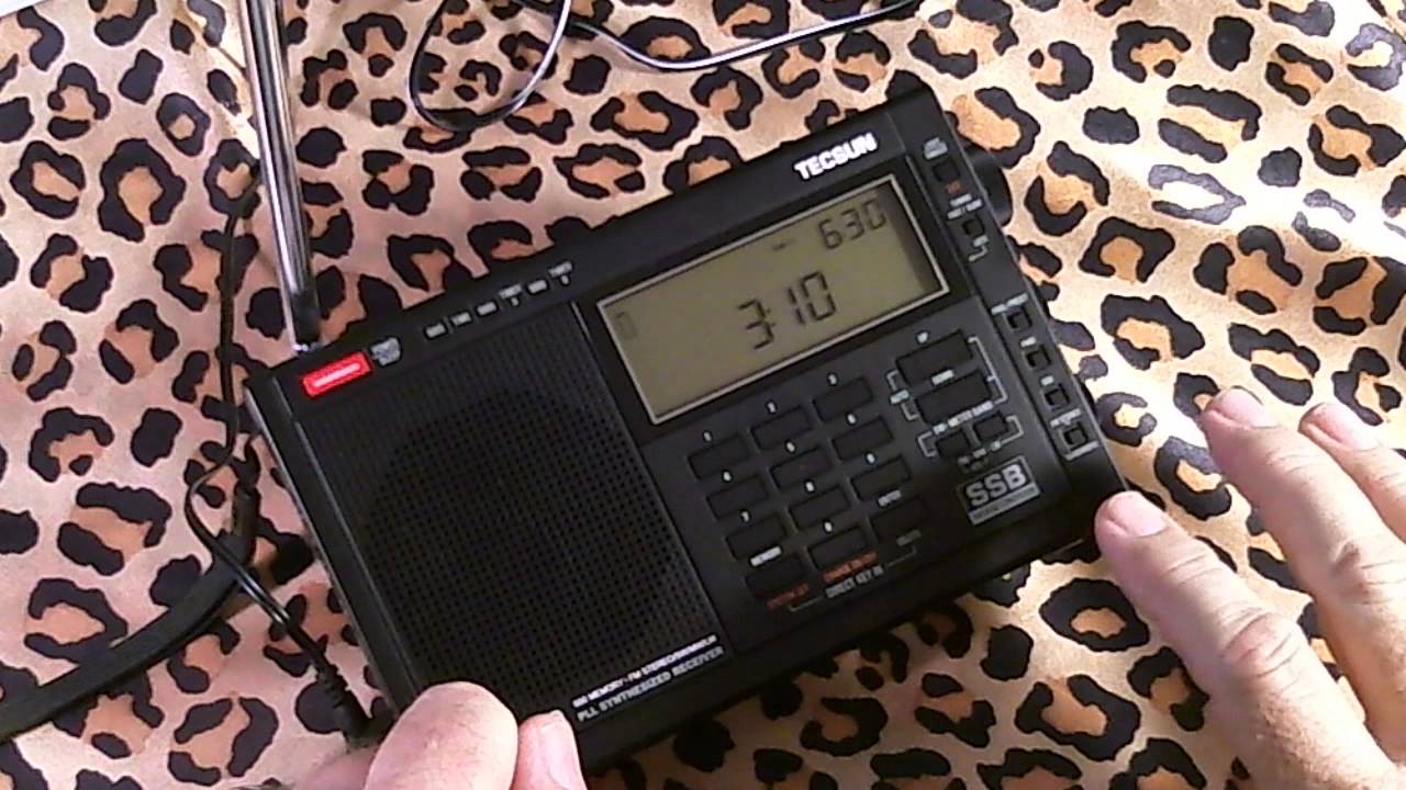 TRRS #0613 - Tecsun Pl-600 Testing