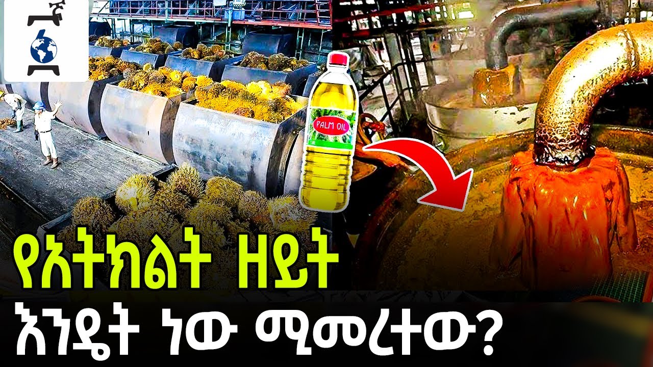 Ethiopia - የአትክልት ዘይት እንዴት ነው የሚመረተው ?