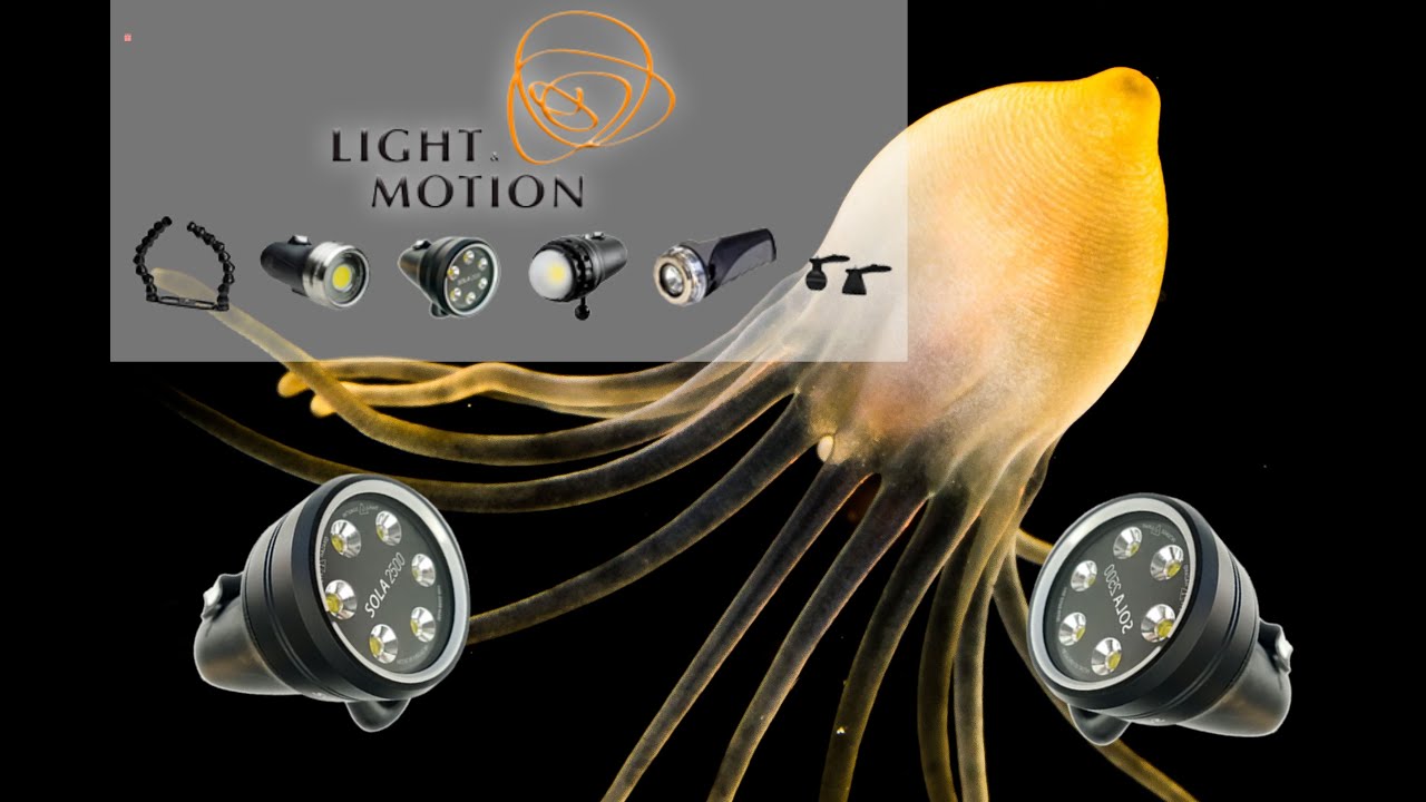 Must-Have Light & Motion Video Lights