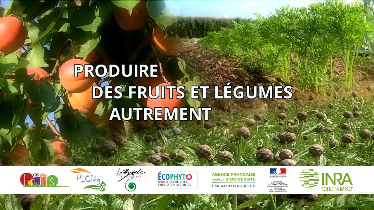Produire des fruits et légumes autrement