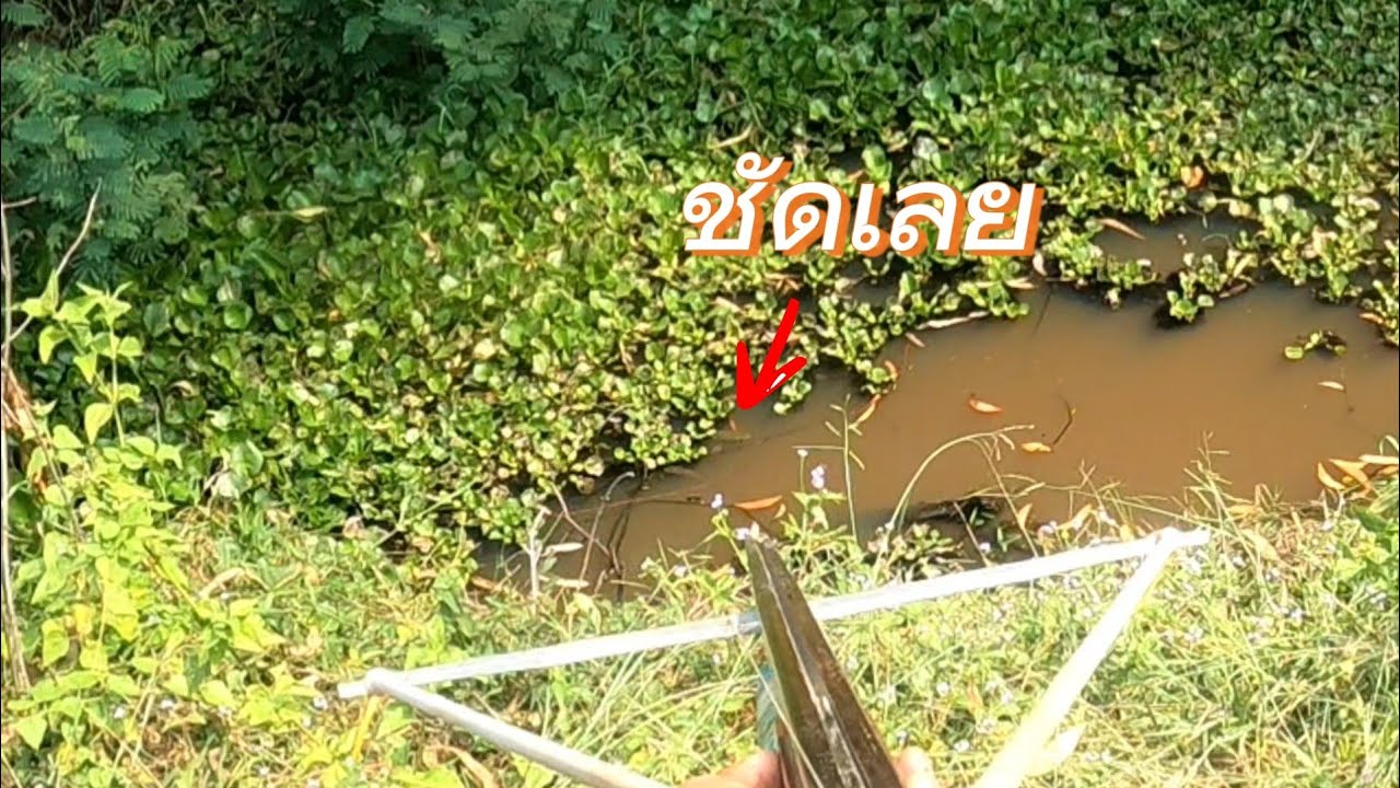 คลองเล็กๆลอยหัวชัดเลย