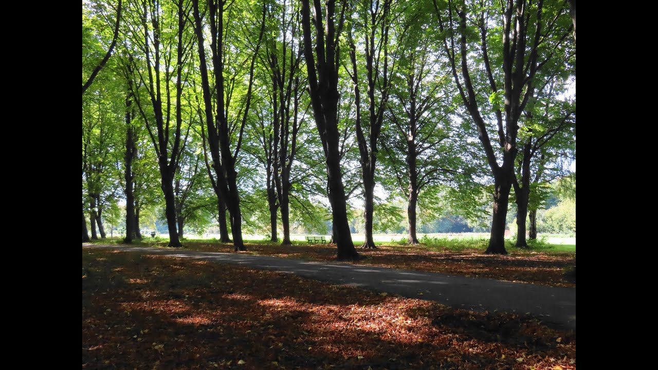 Zuidelijk deel Amsterdamse Bos op de 1e herfstdag 2025