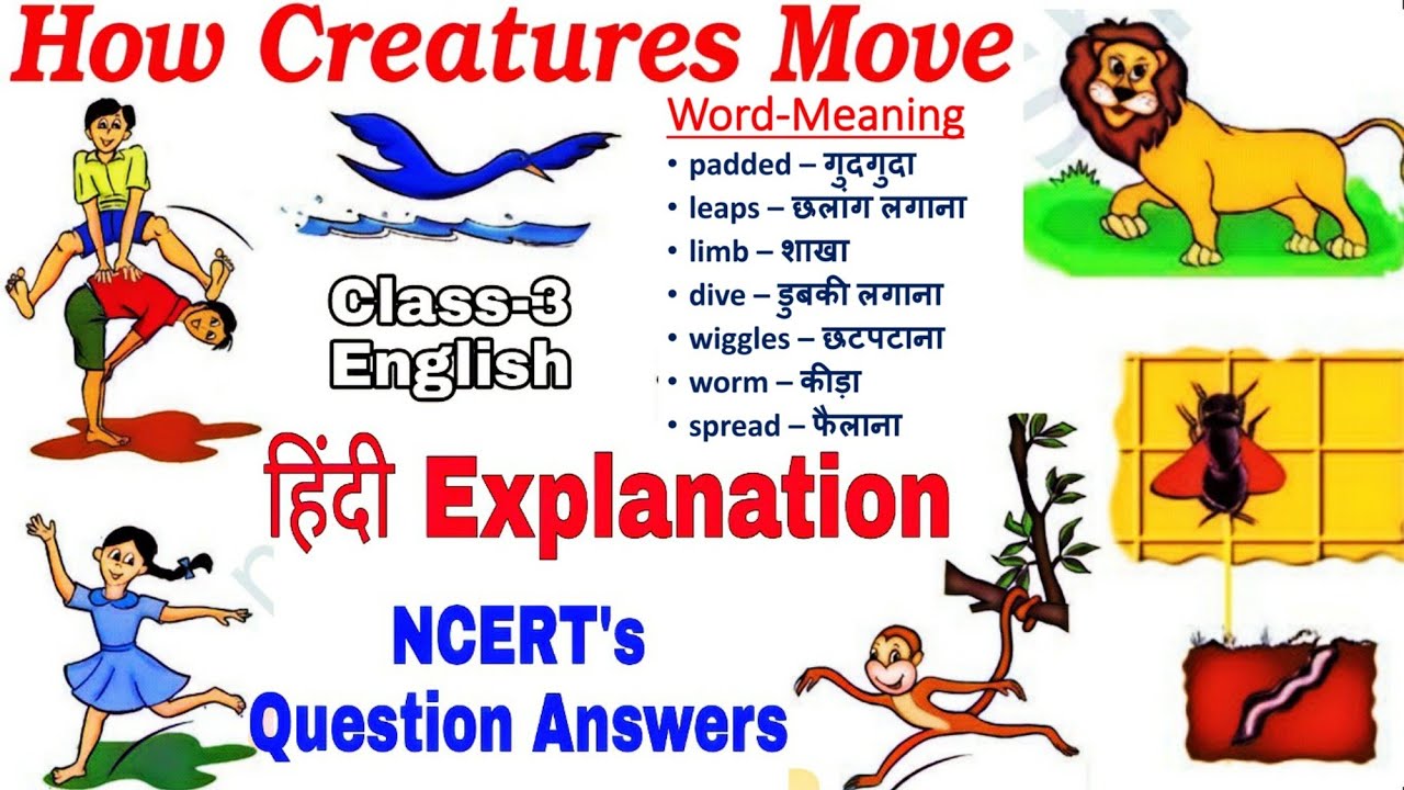How Creatures Move/ Class-3 ENGLISH हिंदी Explanation / NCERT Question Answers by KV Teacher