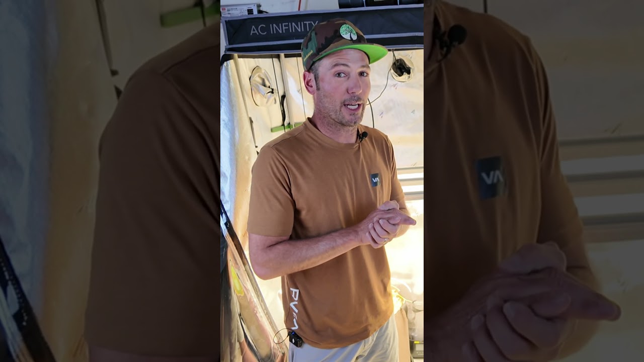 Don&rsquo;t Foliar Spray Wrong! Here&rsquo;s the Safe Way