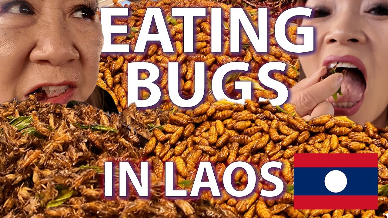 First Day in Laos | DMK Airport Lounge, Laos Immigration, Public Bus & Eating Bugs