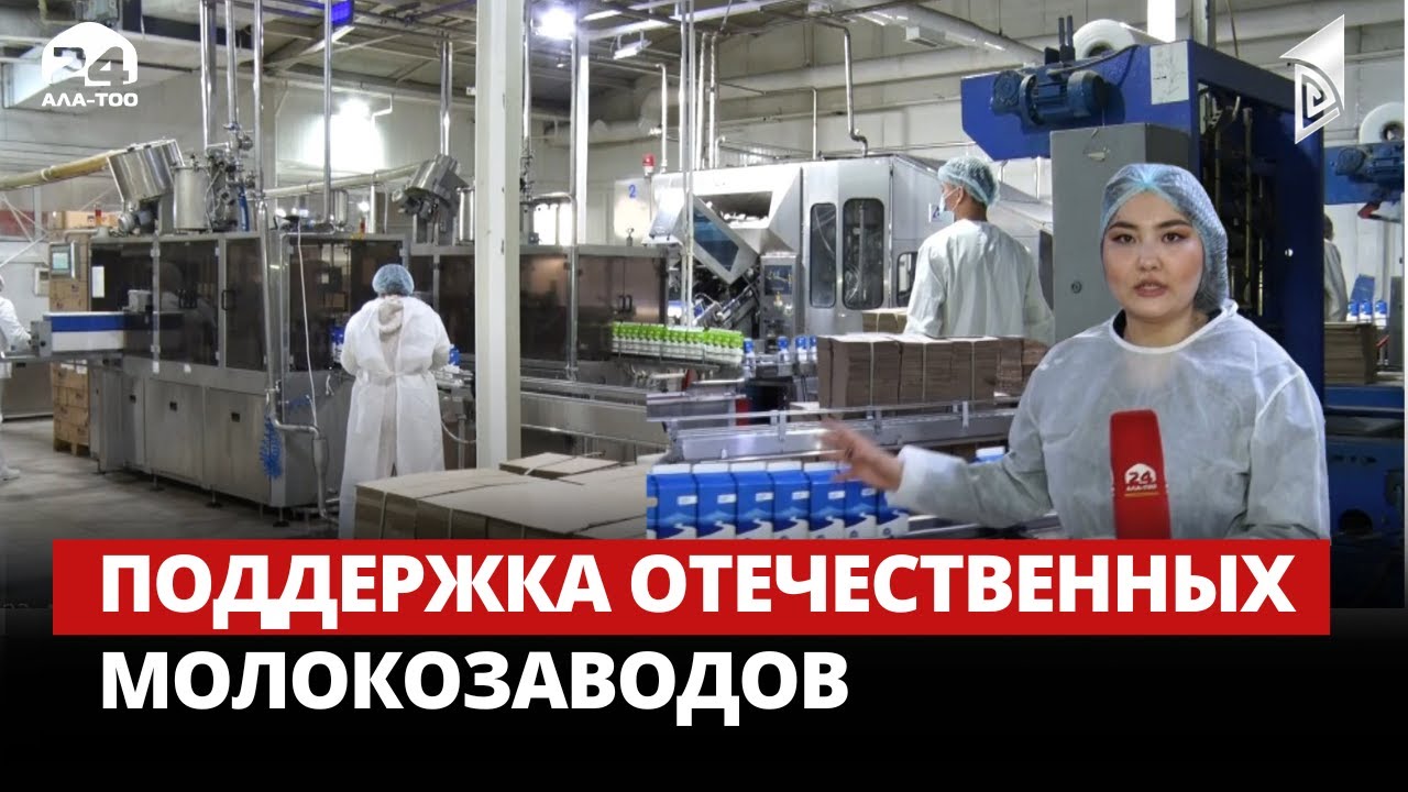 Поддержка отечественных молокозаводов