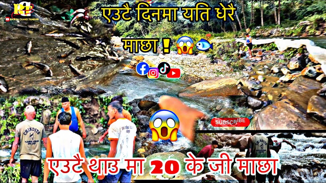 Traditional fishing styles in Nepali 🐟#fishing #difference#fishcurry #rurallife #fish #fishingvideo 